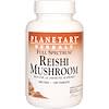 Reishi Mushroom, Full Spectrum, 460 mg, 100 Tablets