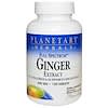 Full Spectrum Ginger Extract, 350 mg, 120 Tablets