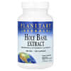 Holy Basil Extract, 450 mg, 120 Capsules