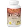 Ayurvedics, Holy Basil, 225 mg, 120 Liquid-Filled Capsules