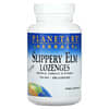 Slippery Elm Lozenges, Unflavored, 150 mg, 200 Lozenges