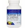 Slippery Elm Lozenges, Strawberry Flavor, 150 mg, 200 Lozenges