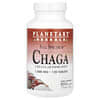 Full Spectrum™ Chaga, 1,000 mg, 120 Tablets
