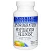 Andrographis Respiratory Wellness, 945 mg, 120 Tablets