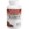 Agaricus, 500 mg, 30 Capsules