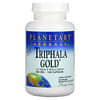 Triphala Gold, GI Tract Wellness, 550 mg, 120 Capsules