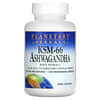KSM-66 ашваганда, 600 мг, 120 вегетарианских капсул