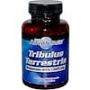 Tribulus Terrestris, 625 mg, 60 Capsules