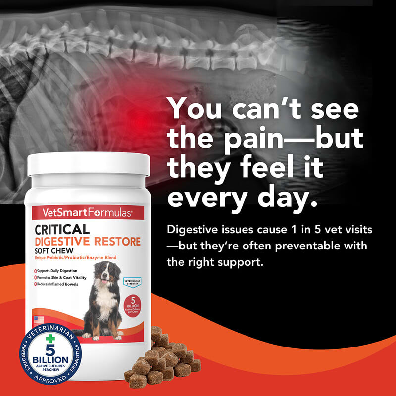 Critical Digestive Restore Soft Chew, weiches Kau-Snack fr Hunde, 60  weiche Kau-Snacks, 180 g (