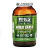Pines Wheat Grass, Powder, 1.5 lbs (680 g)