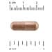 Quality of Life, Kinoko® Platinum AHCC®, 750 mg, 60 vegetarian capsules - Image 3
