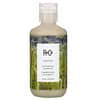 Cactus, Texturizing Shampoo, 6 fl oz (177 ml)