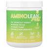 RSP Nutrition, AminoLean® Max, Pre-Workout Energy, Maui Ananas, 290 g