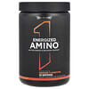 Energized Amino, Orange Clementine, 9.52 oz (270 g)