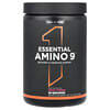 Essential Amino 9, Fruit Punch, 11.64 oz (330 g)