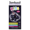 Sambucol, Kids Black Elderberry Syrup, 2 Years & Older, Berry, 4 fl oz (120 ml)