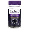 Black Elderberry, Advanced Immune Support with Vitamin C & Zinc, 30 Gummies