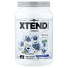 XTEND, 7G BCAA, 블루 라즈베리 아이스, 1.242kg(2.74lb)