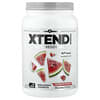 XTEND, 7G BCAA（分岐鎖アミノ酸）、ウォーターメロン エクスプロージョン、1.14kg