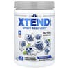 XTEND, Sport，7G 支鏈氨基酸，藍莓冰，12.2 盎司（345 克）