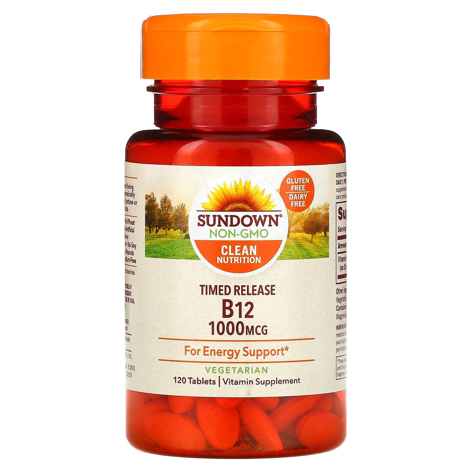 Sundown Naturals Time Release Vitamin B12 1 000 Mcg 120 Tablets