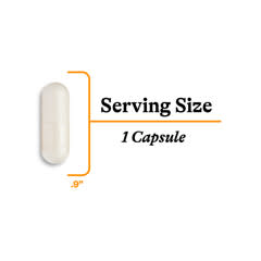 アセチル-L-カルニチン、500mg、90粒