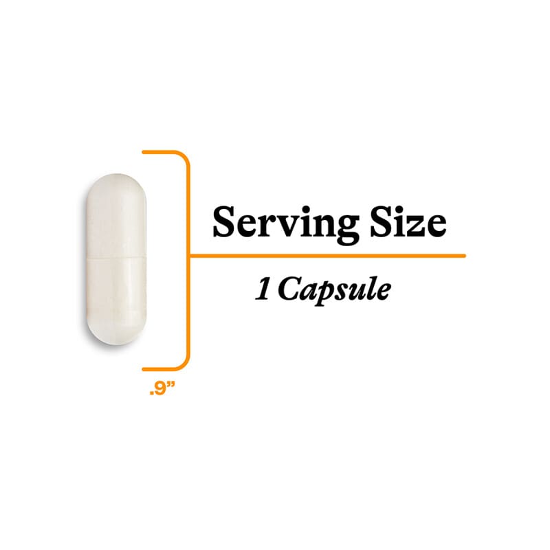 アセチル-L-カルニチン、500mg、90粒