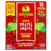 Raisin Mini Snacks, 15 Pouches, 0.5 oz (14 g) Each