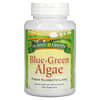 Blue-Green Algae, 120 Tablets