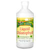 Liquid Chlorophyll, Peppermint, 100 mg, 16.2 fl oz (480 ml)