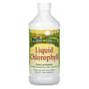 Liquid Chlorophyll, Unflavored, 100 mg, 16.2 fl oz (480 ml)