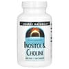 Inositol & Choline, Inositol und Cholin, 800 mg, 100 Tabletten