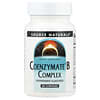 Source Naturals, Complexo B Coenzymate™, Hortelã-Pimenta, 60 Pastilhas
