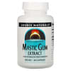 Mastic Gum Extract, 500 mg, 60 Capsules
