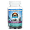 Wellness Gummies, бузина, 60 жевательных таблеток