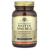 Biotina, 50 Cápsulas Vegetais