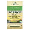 EarthSource Food Fermented, Koji-Eisen, 27 mg, 30 pflanzliche Kapseln