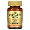 Chelated Iron, 100 Tablets