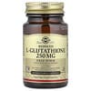 does igf 1 lr3 burn fat Why Is Igf 1 Lr3 Peptide Only Sold in 1 Mg