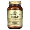 North Atlantic Kelp, 250 Tablets