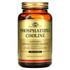 Phosphatidyl Choline, 100 Softgels