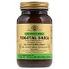 Full Potency Herbs, Vegetal Silica, 100 Vegetable Capsules