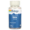 DHA,植物源微藻類油,100 mg, 60素食軟膠囊