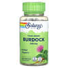 True Herbs, Burdock, 425 mg, 100 VegCaps