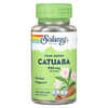 True Herbs, Catuaba, 930 mg, 100 cápsulas vegetales (465 mg por cápsula)