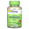 True Herbs, Echinacea, Echinacea, Vitamin C und Zink, 850 mg, 100 pflanzliche Kapseln (425 mg pro Kapsel)