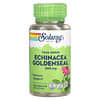True Herbs, Echinacea-Gelbwurzel, 500 mg, 100 pflanzliche Kapseln