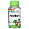 Hawthorn, 525 mg, 100 VegCaps