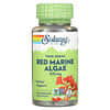Red Marine Algae, 375 mg, 100 VegCaps