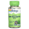 True Herbs, Saw Palmetto, 580 mg, 100 Vegcaps